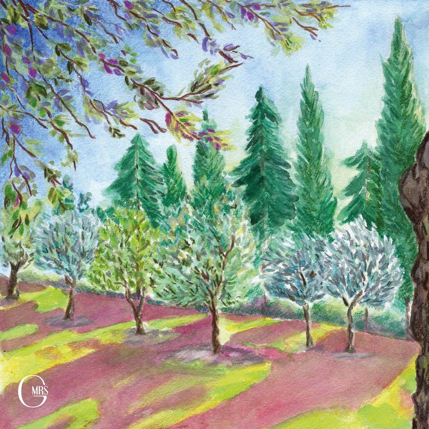 Cartes postales sur le thème du Luberon