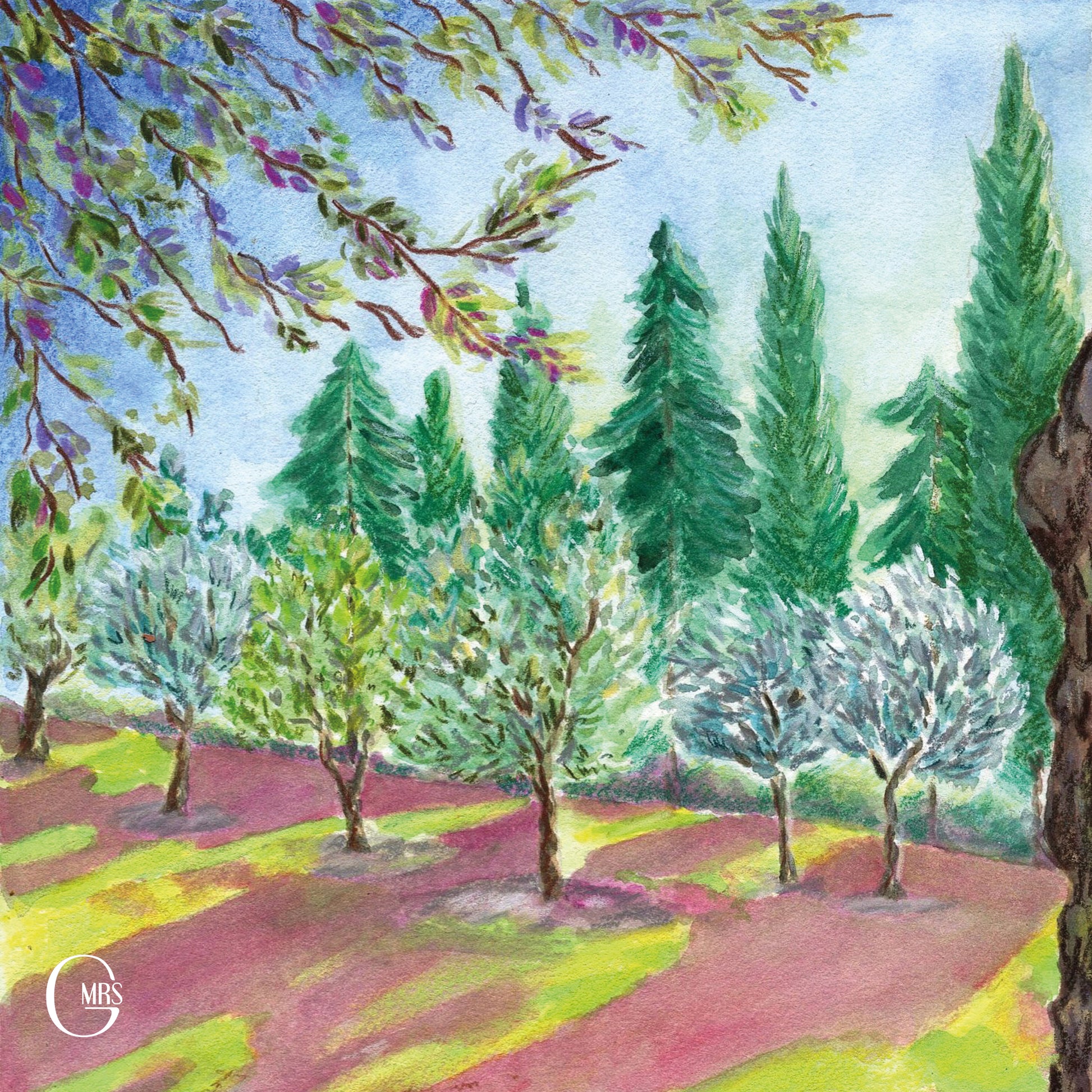 Cartes postales sur le thème du Luberon