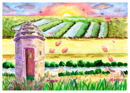 Le fort de Brouage:  marais salants, remparts et chevaux-Mrs G Illustration